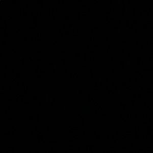 Meet your Posher, Sabrina